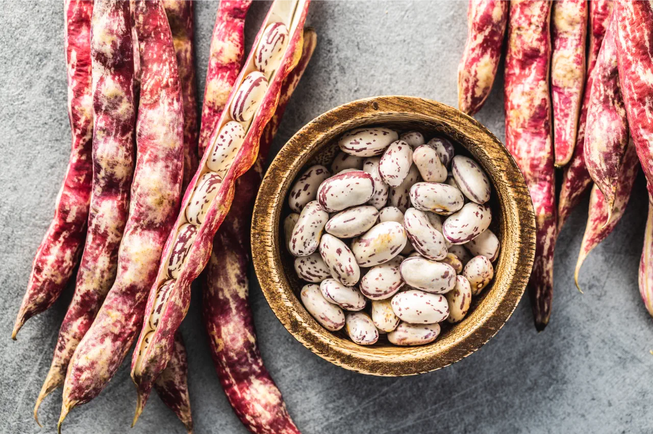 Borlotti Beans Grow Guide: Top Tips for a Big Harvest